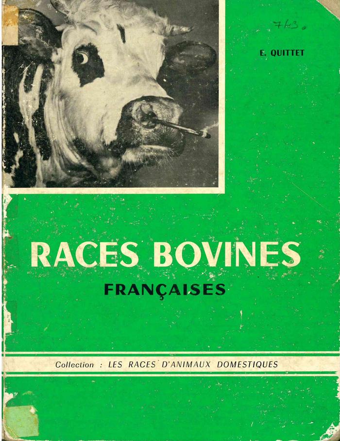 Races bovines françaises