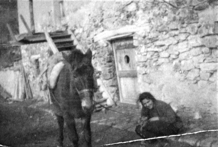 [Jeune fille  et une mule bâtée, Les Barels, hameau des Laves, 1917]