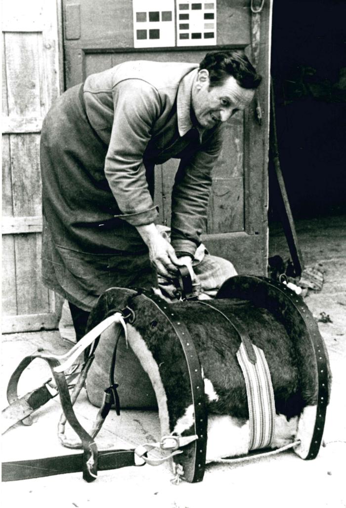 Jean Ros fabriquant un bât : le bât terminé
