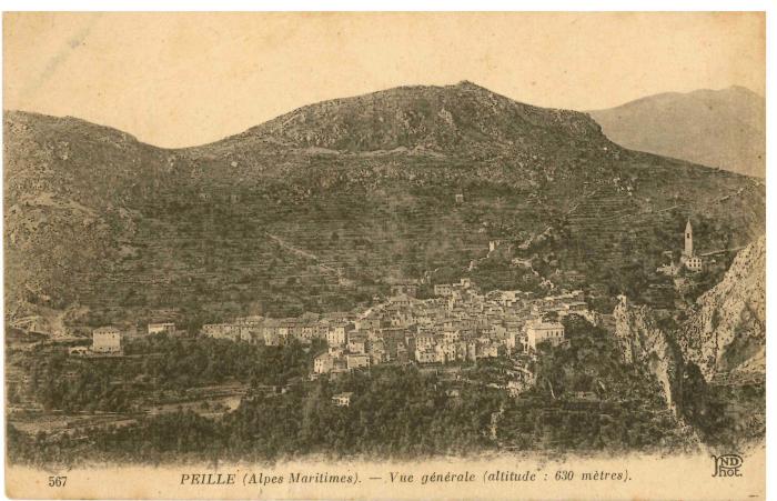 567 PEILLE (Alpes Maritimes). - Vue générale (altitude : 630 mètres). ND Phot.