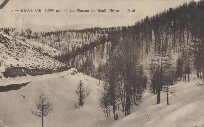 n°6 - Le plateau de Beuil (alt. 1500m)